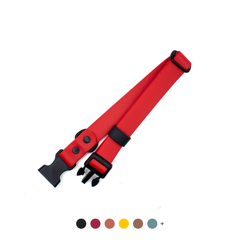 Collar with lockable plastic side release buckle